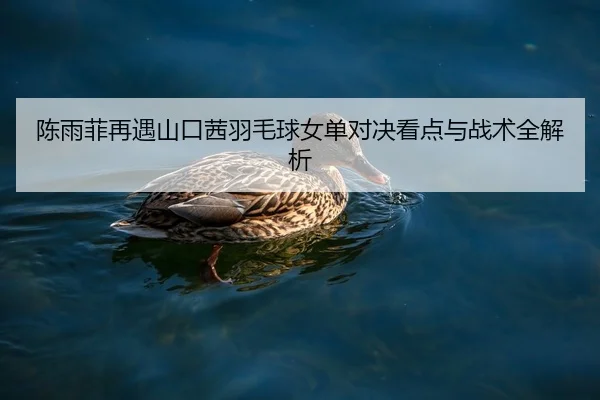 陈雨菲再遇山口茜羽毛球女单对决看点与战术全解析