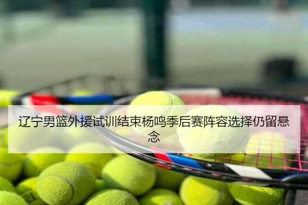 辽宁男篮外援试训结束杨鸣季后赛阵容选择仍留悬念